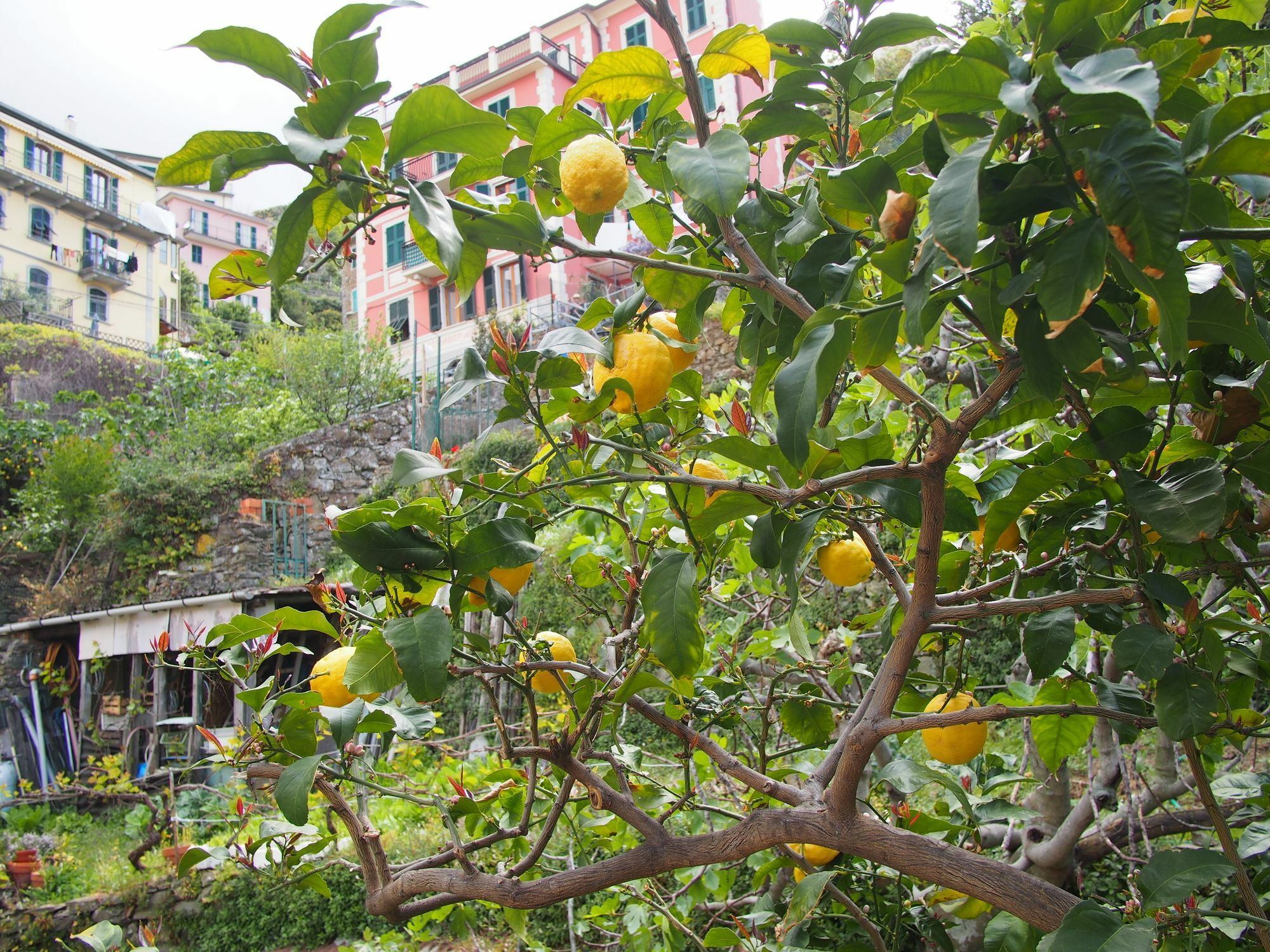 Ciao Bella Rainbow Riomaggiore Exterior foto